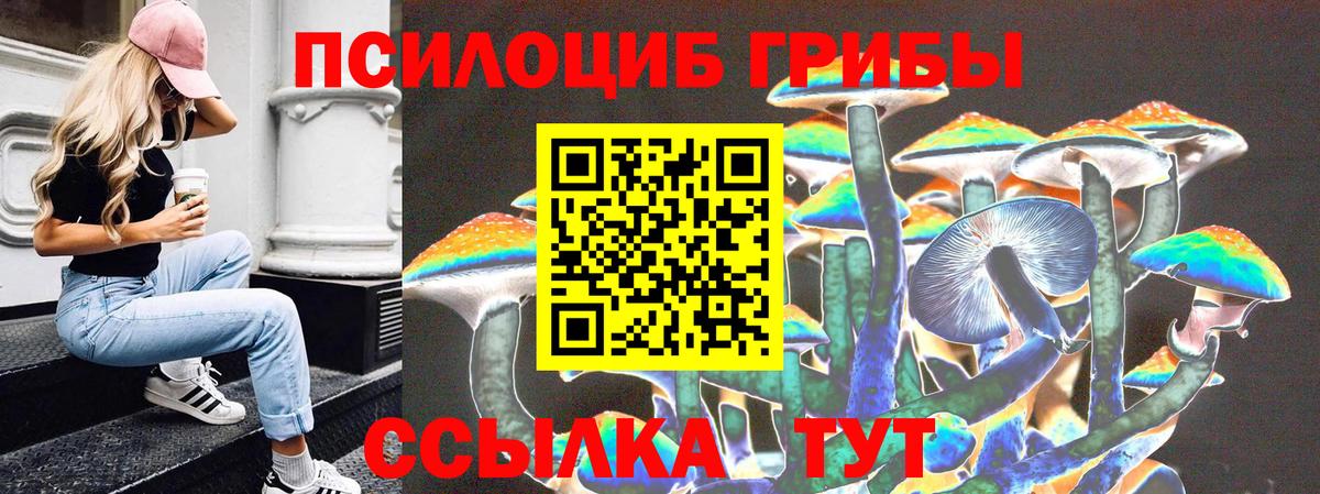 Псилоцибиновые грибы MAGIC MUSHROOMS Тайшет